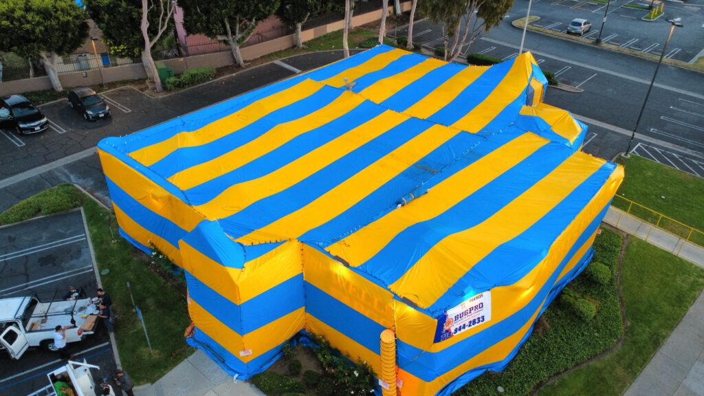 termite tenting